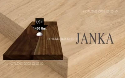 Tìm hiểu về thang đo độ cứng Janka của gỗ tự nhiên