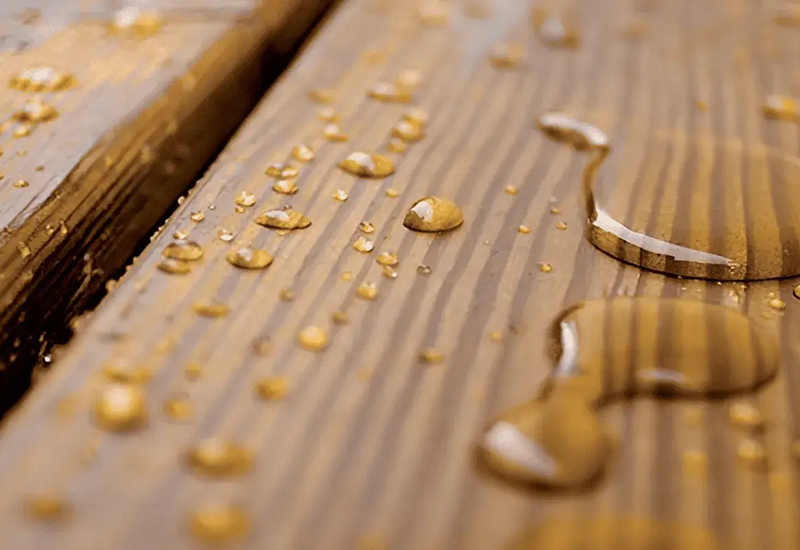 Điểm danh các loại gỗ chịu nước tốt để làm nội ngoại thất