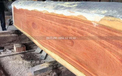 Tìm hiểu về loại gỗ căm xe Nam Mỹ hay gỗ WPL là gỗ gì