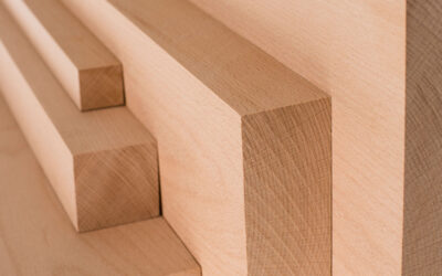 Gỗ Beech (gỗ dẻ gai): Lý do được ưa chuộng để làm nội thất!