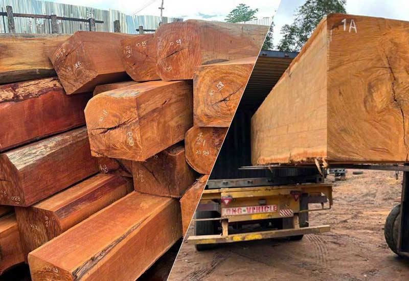 So sánh gỗ căm xe và gỗ lim nên dùng loại nào tốt hơn