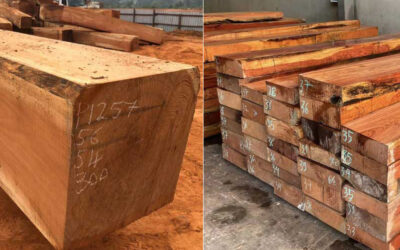 So sánh gỗ gõ đỏ và gỗ hương đá cái nào dùng tốt hơn