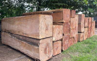 Gỗ gõ đỏ có tốt không? Đặc điểm & Báo giá nội thất chi tiết