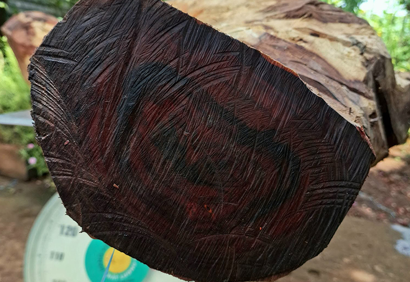 Danh sách loại gỗ có tone (gam) màu đen thường làm nội thất