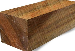 Lignum vitae