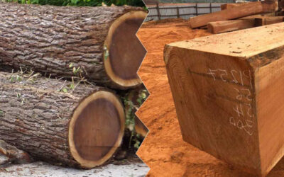 Nhà mới nên chọn nội thất gỗ gõ đỏ hay nội thất gỗ óc chó