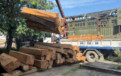 Gỗ Teak (Tếch): Đặc điểm, đánh giá độ bền & giá bán mới nhất